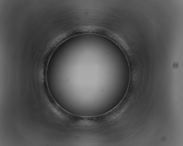 X0000096630633200802121048