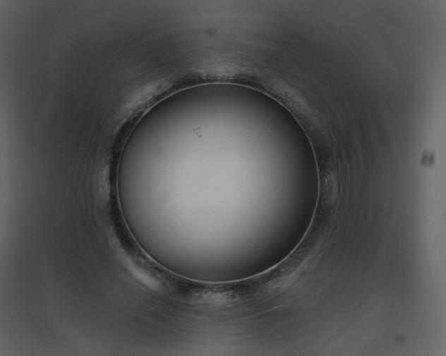 X0000096630638200802121048