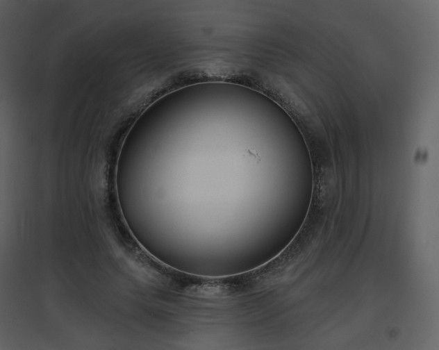 X0000096630639200802121048