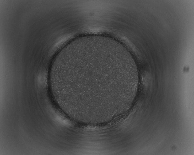 X0000096630640200802121048