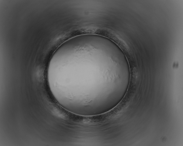 X0000096630641200802121048