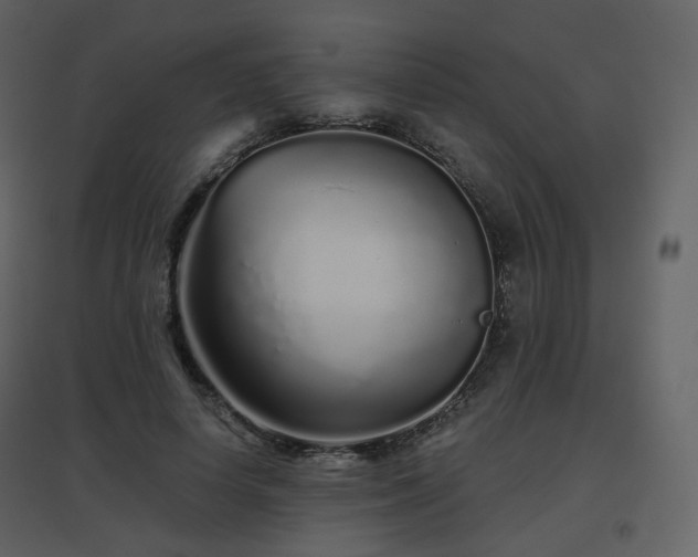 X0000096630642200802121048