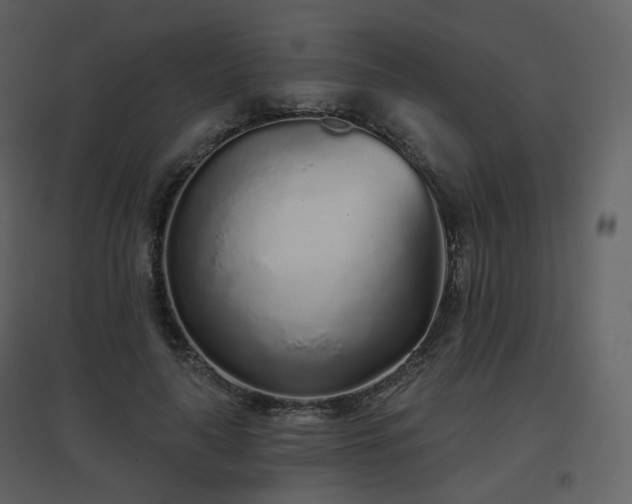 X0000096630643200802121048