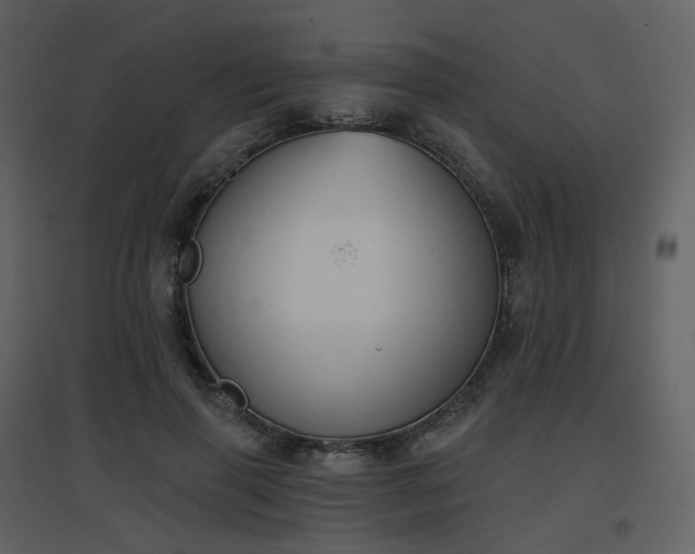 X0000096630645200802121048