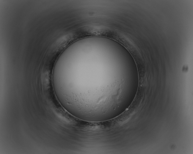 X0000096630646200802121048