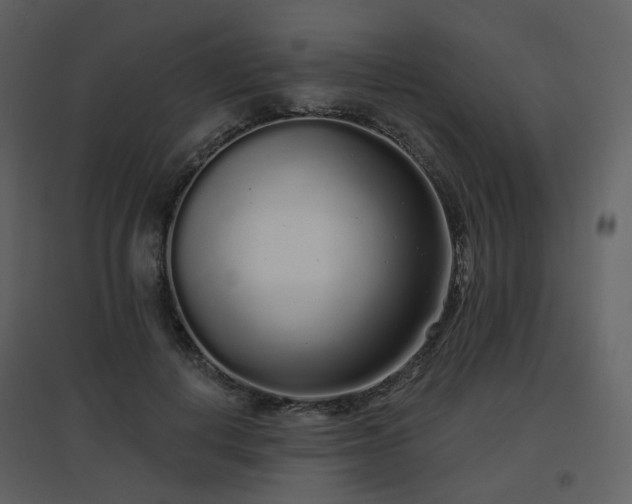X0000096630648200802121048