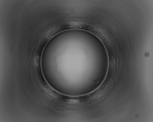 X0000096630649200802121048