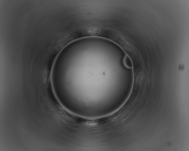 X0000096630651200802121048