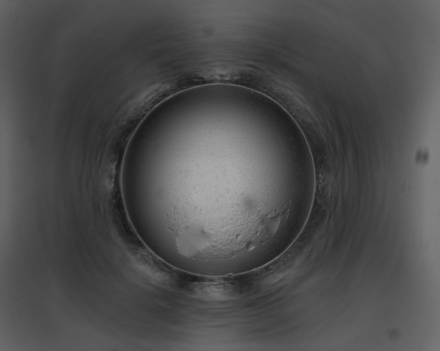 X0000096630652200802121048
