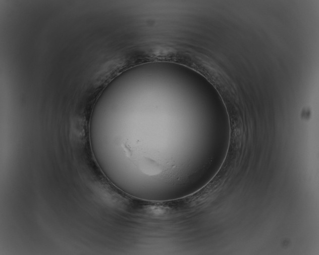 X0000096630654200802121048