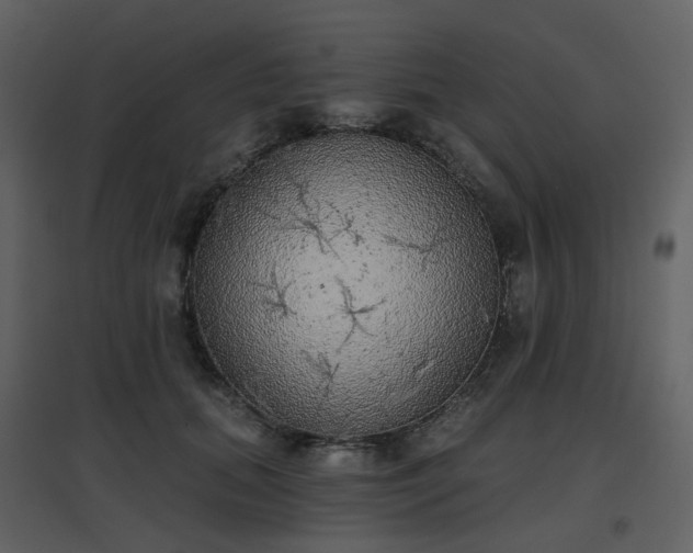 X0000096630655200802121048
