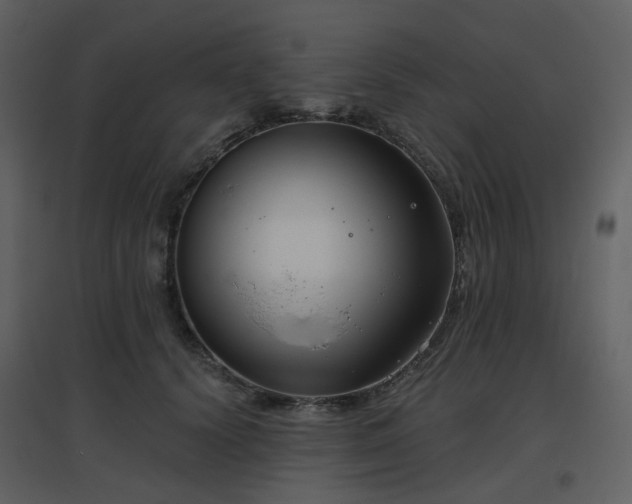 X0000096630656200802121048