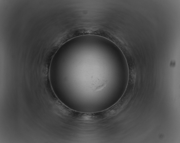 X0000096630657200802121048