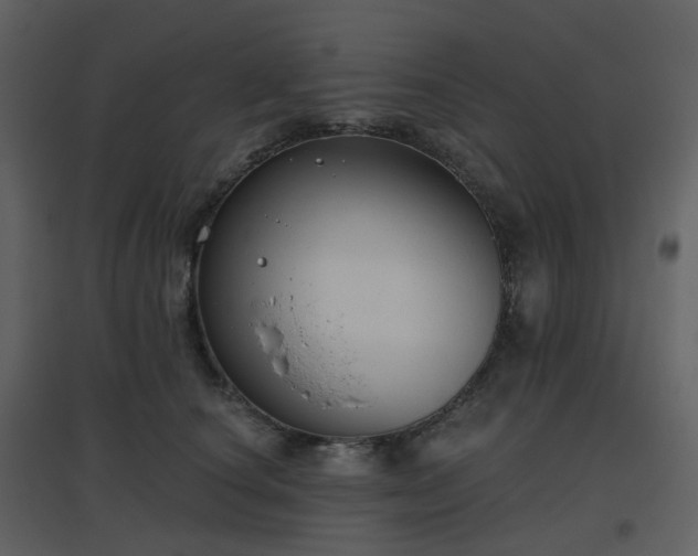 X0000096630660200802121048
