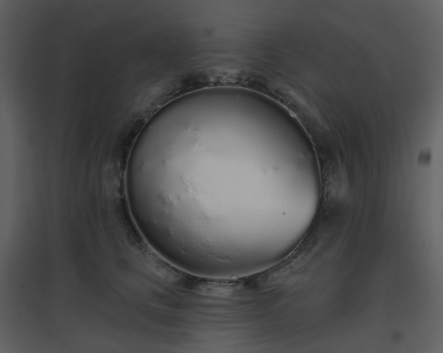 X0000096630661200802121048