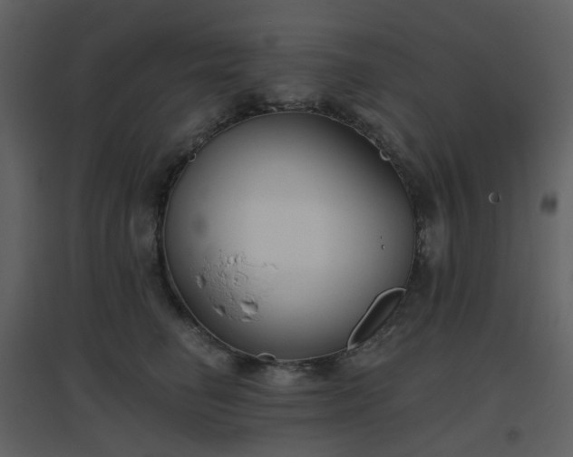 X0000096630662200802121048