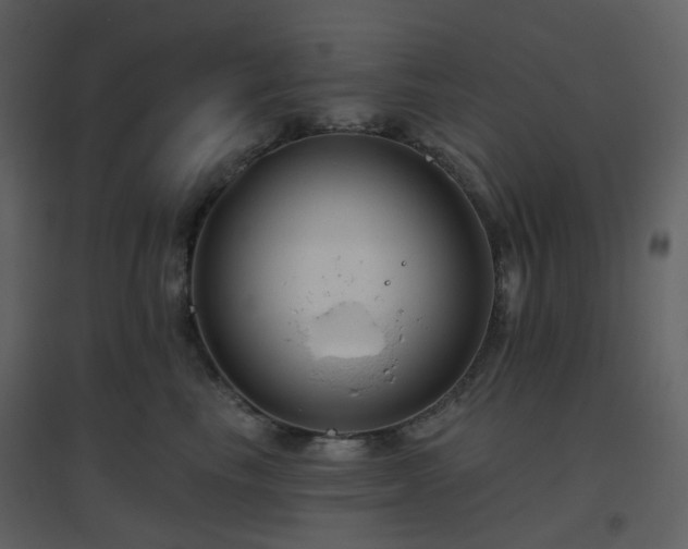 X0000096630665200802121048