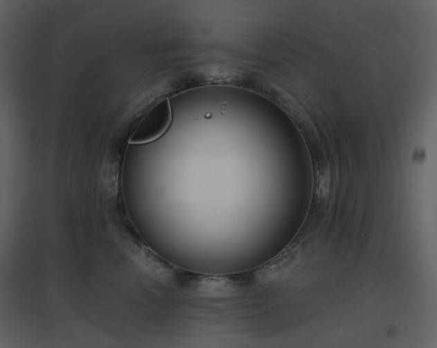 X0000096630666200802121048