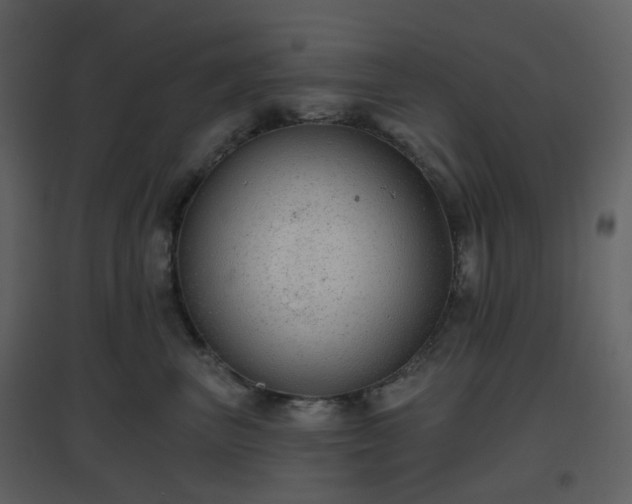 X0000096630667200802121048