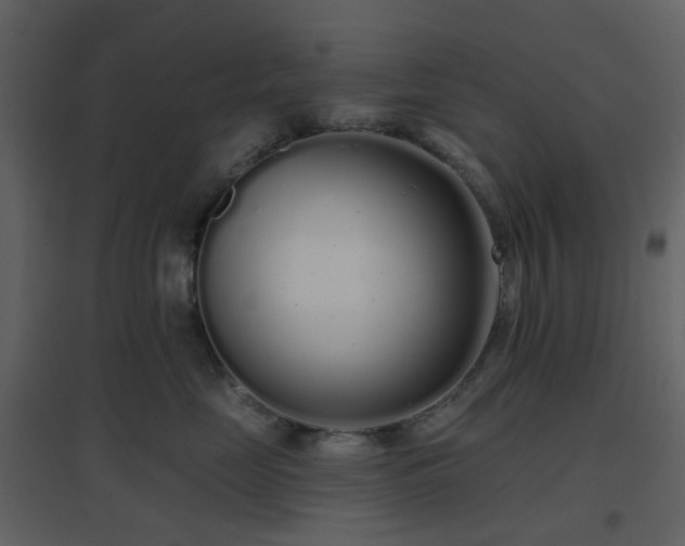X0000096630669200802121048