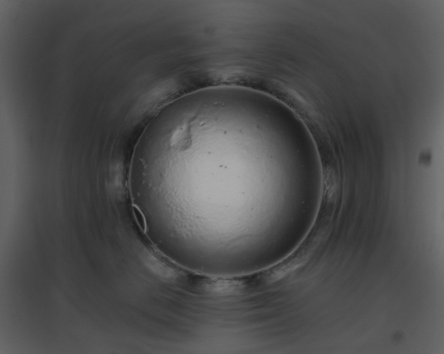 X0000096630670200802121048