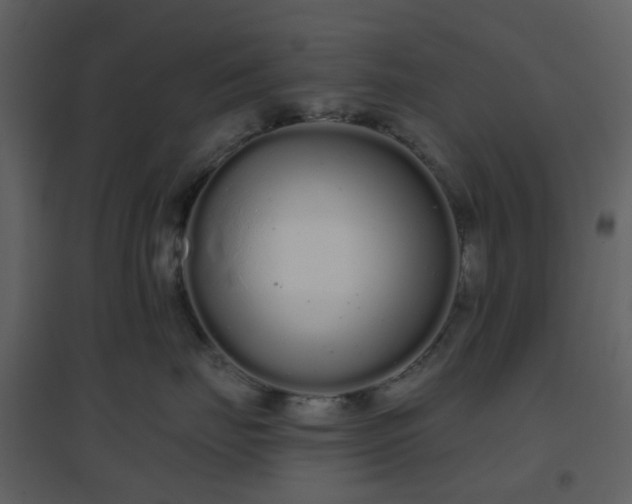 X0000096630671200802121048