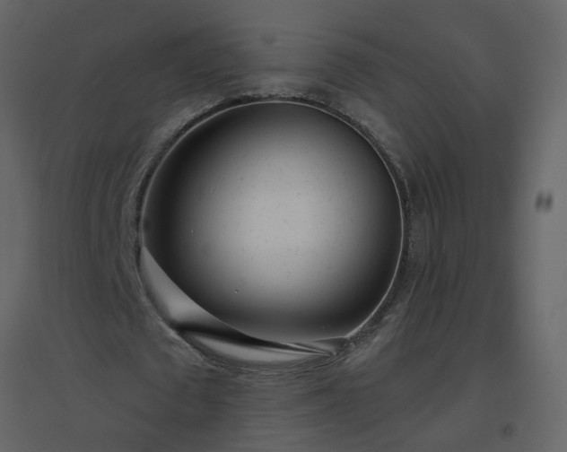 X0000096630673200802121048