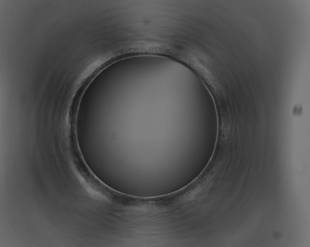 X0000096630674200802121048