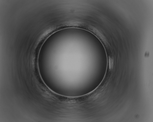 X0000096630675200802121048
