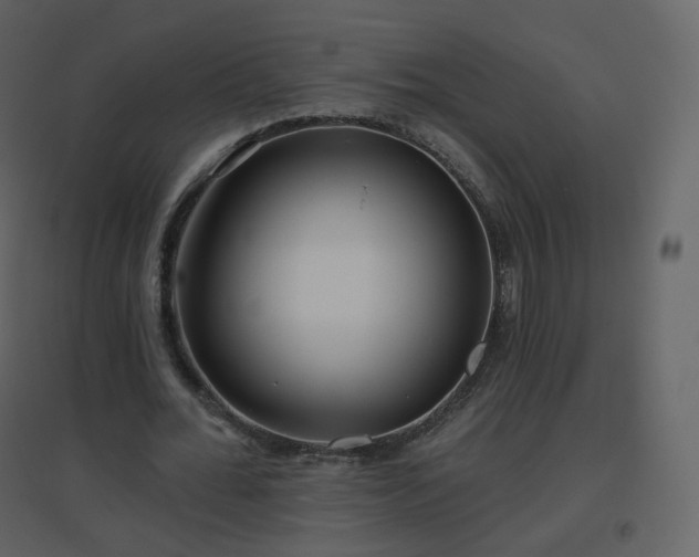 X0000096630676200802121048