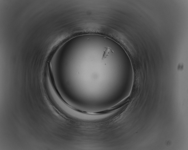 X0000096630677200802121048