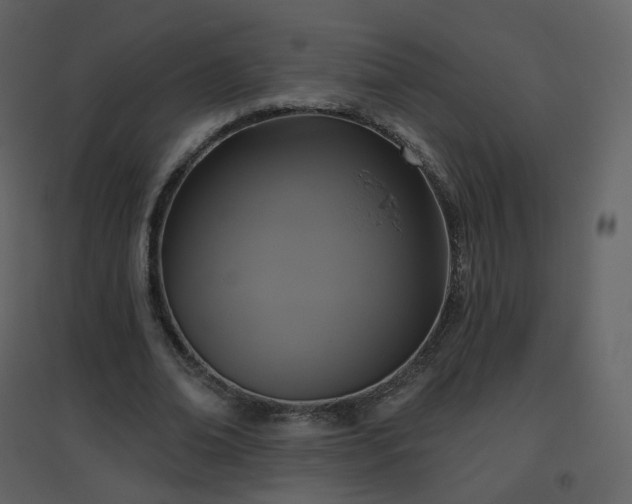 X0000096630678200802121048