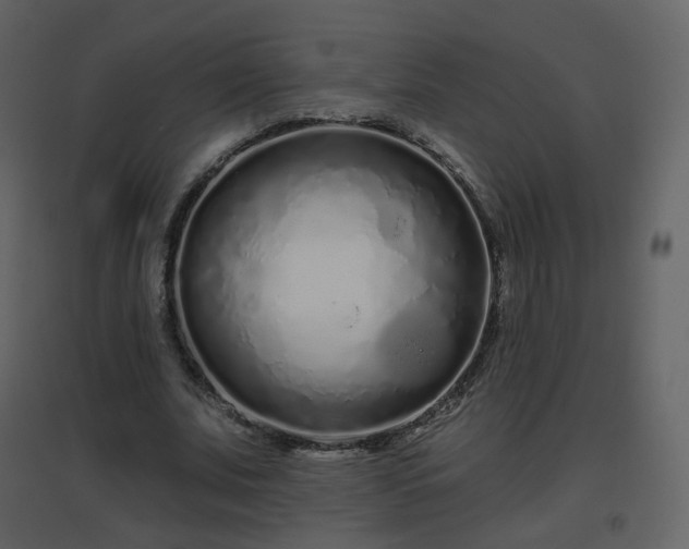 X0000096630679200802121048