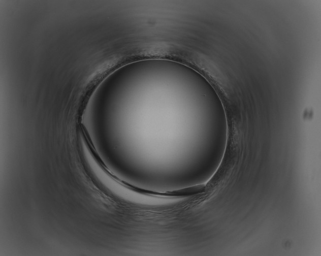 X0000096630681200802121048