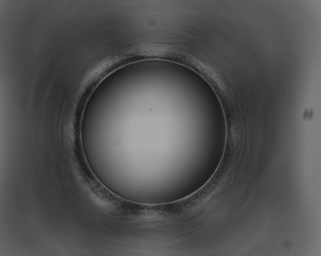 X0000096630682200802121048