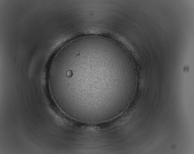 X0000096630683200802121048
