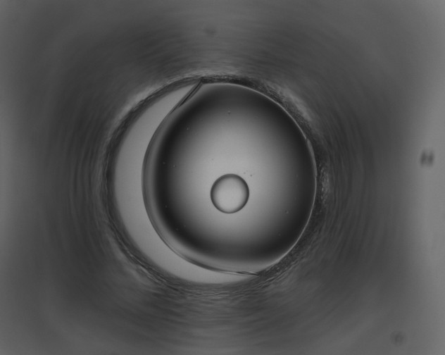 X0000096630684200802121048