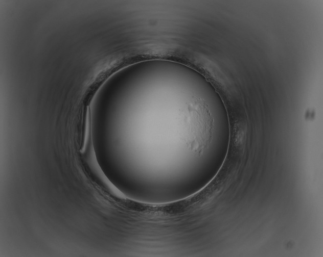 X0000096630685200802121048
