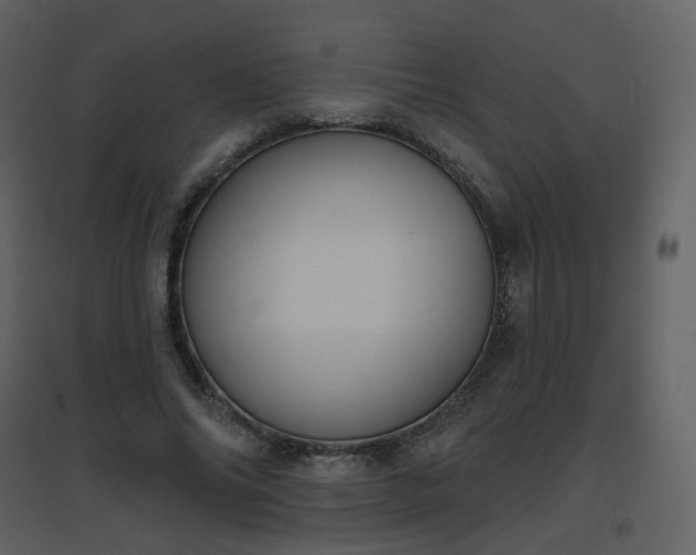 X0000096630686200802121048