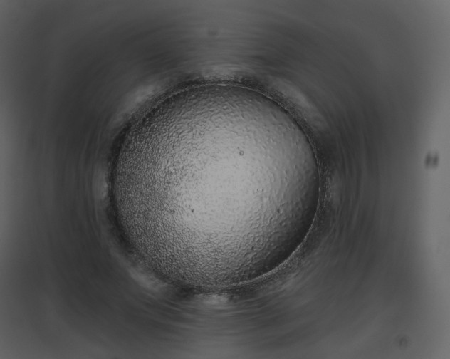 X0000096630687200802121048