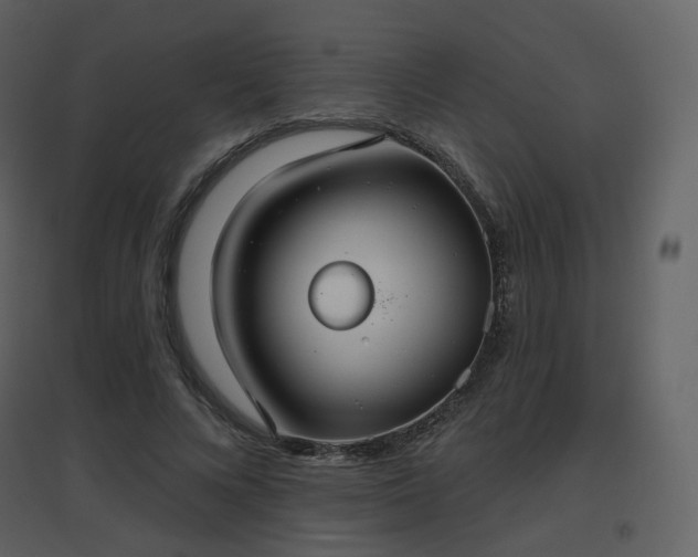 X0000096630688200802121048