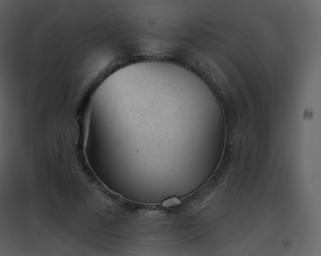 X0000096630689200802121048