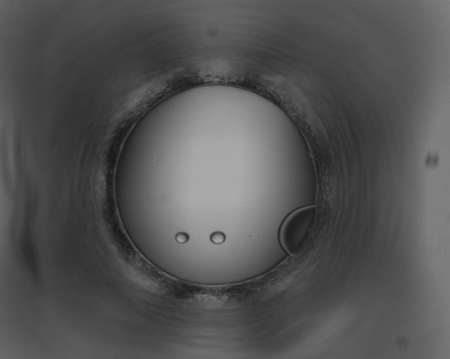 X0000096630690200802121048