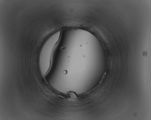 X0000096630692200802121048