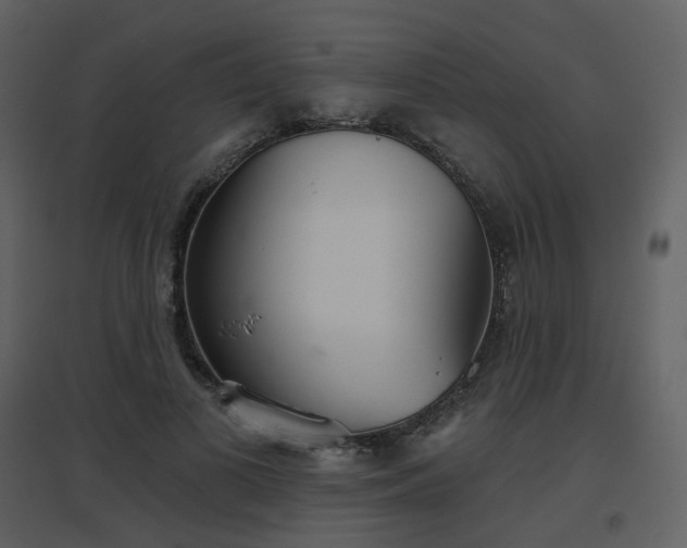 X0000096630693200802121048