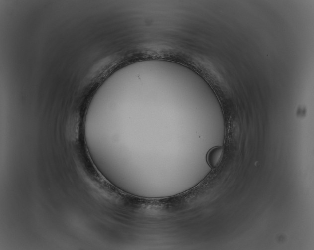 X0000096630694200802121048