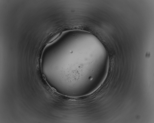 X0000096630699200802121047