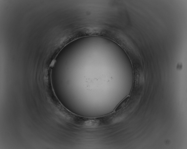 X0000096630700200802121047