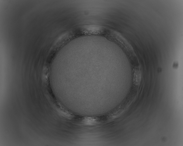 X0000096630701200802121047