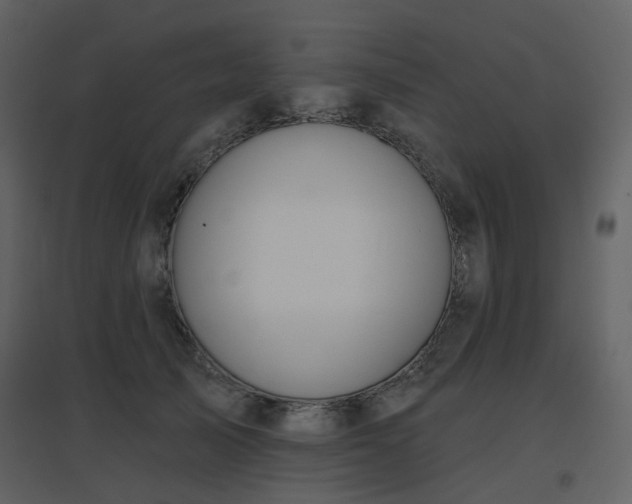 X0000096630705200802121047